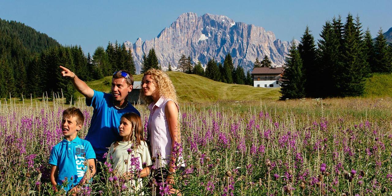 Casa Alpina Sacro Cuore Canale dʼAgordo Εξωτερικό φωτογραφία