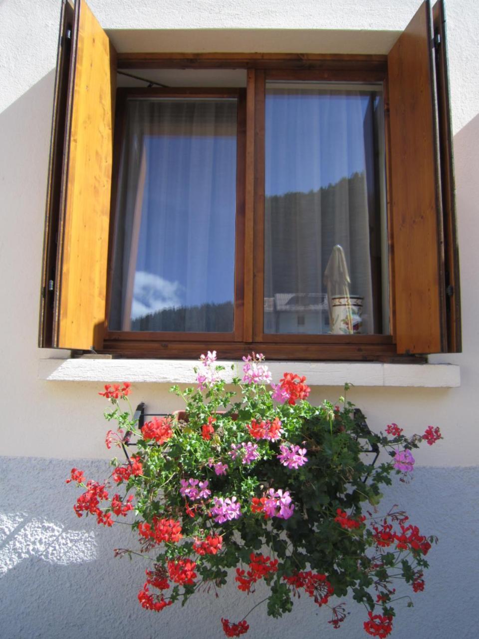 Casa Alpina Sacro Cuore Canale dʼAgordo Εξωτερικό φωτογραφία